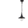 Уличный подвесной светильник ODEON LIGHT NATURE CAMPA 4965/1