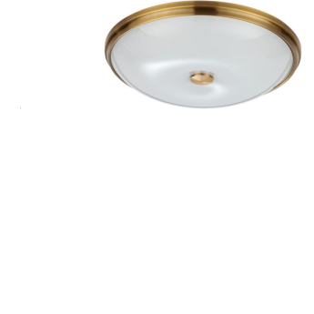 Потолочный светильник ODEON LIGHT PELOW 4956/5